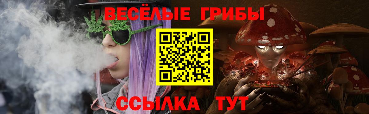 Псилоцибиновые грибы прущие грибы Абинск